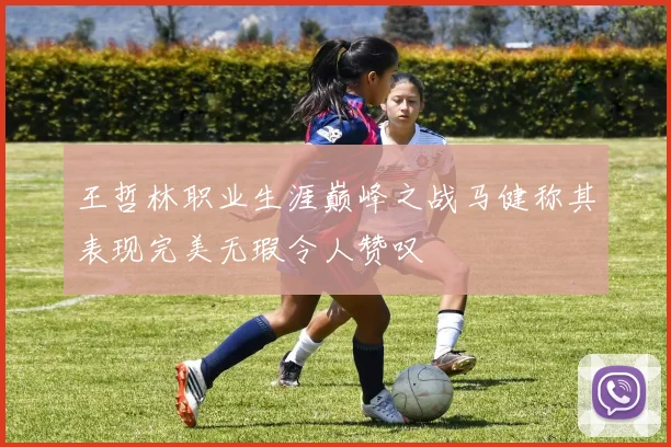 王哲林职业生涯巅峰之战马健称其表现完美无瑕令人赞叹